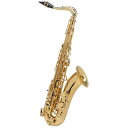 Selmer Paris 【旧定価品！】【彦坂眞一郎氏選定品】テナーサックス　セルマー AXOS（アクソス）【選定料サービス!!】