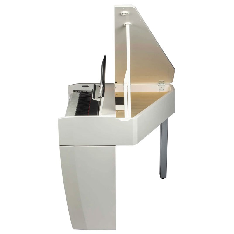 DEXIBELL VIVO H10 MG WHP(�ۥ磻�ȥݥ�å���) (�������Ӥ����Ѥ��/������Բ�)