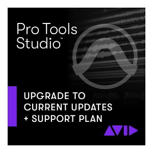 AVID 【2023/1/4 10時までの限定特価】Pro Tools Studio 永続版用再加入(9938-30005-00)(オンライン納品)(代引不可)ネット通販