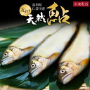 【母の日クーポン半額】鮎 仁淀川 極上 天然鮎 友釣り鮎 仁淀ブルーで育った天然鮎 高知県産 産地直送 母の日 父の日 御中元 ギフト 海鮮 贈答 誕生日 プレ...