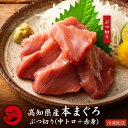 本まぐろ 高知県産 ブツ切り 中トロ 赤身 混合 訳あり お徳用 本マグロ 端材 鮪 プロトン凍結 贈答用 父の日 お中元 御中元 ギフト 誕生日 お取り寄せ グルメ 海鮮 寿司 刺身 丼 養殖 送料無料 翌日配送