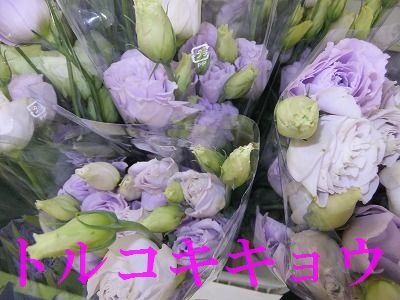 6月生まれの女性へ！季節の花束を贈るならどんなものがいい？