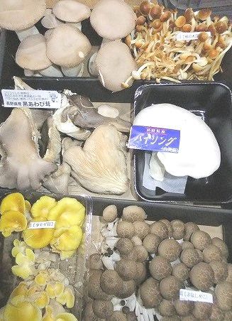 キノコの街！信州中野より朝採り新鮮発送！一味違います！長野産