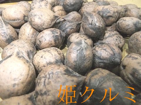 全国お取り寄せグルメ長野その他フルーツNo.19