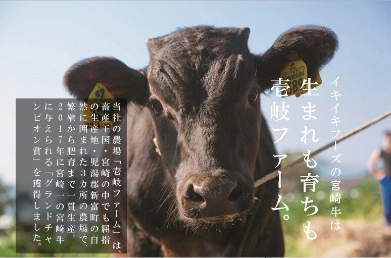 サンプル画像3