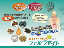 発酵エキスとフェルラ酸で元気な腸と脳をサポート