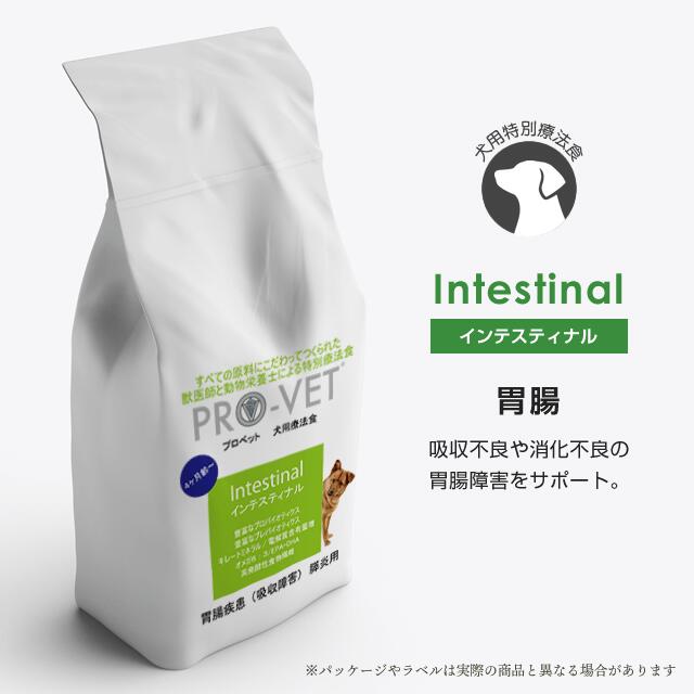 (胃腸) プロベット/PRO-VET インテスティナル 500g