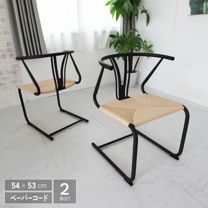 ダイニングチェア 2脚セット アイアン脚 おしゃれ 北欧 北欧モダン 肘付 肘付き ペーパーコード モダン スタイリッシュ アイアン ブラック脚 ダイニング シンプル カフェ風 人気 おすすめ 新生活 在宅ワーク gkw