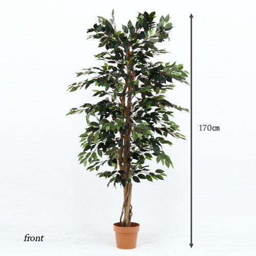 安い 本物保証人工観葉植物 H170 Ficus フィカス ゴムの木 A インテリア 造花 観葉植物 フェイクグリーン 大型 造り物 インテリアグリーン プレゼント ギフト 目隠し 間仕切り 開店祝い 新築祝い かわいい お 安い 本物保証人工観葉植物 H170 Ficus フィカス ゴムの木 A インテリア 造花 観葉植物 フェイクグリーン 大型 造り物 インテリアグリーン プレゼント ギフト 目隠し 間仕切り 開店祝い 新築祝い かわいい お