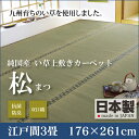 双目織 い草 上敷きカーペット 松 江戸間 3畳 176×261 ｜ い草 ラグ い草ラグ い草マット い草ラグマット イ草 上敷き カーペット マット 畳 いぐさ 国産 おしゃれ 送料無料 spp