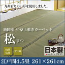 双目織 い草 上敷きカーペット 松 江戸間 4.5畳 261×261 ｜ い草 ラグ い草ラグ い草マット い草ラグマット イ草 上敷き カーペット マット 畳 いぐさ 国産 おしゃれ 送料無料 spp