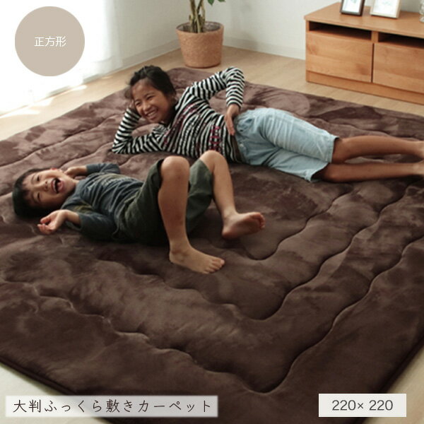ラグ こたつ敷き布団 正方形 幅広ラグ ブラウン 約220×220cm 大判 フランネル ラグマット クッション性 防音性 保温性 おしゃれ 送料無料 spp