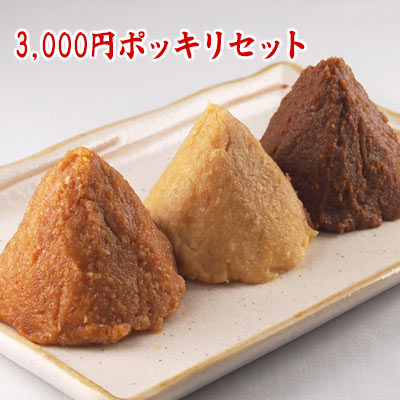 選べる3種類のお味噌3,000円ポッキリセット 信州味噌 仙