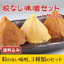 粒なし味噌セットL 1,200g 3,000円 仙台こしみそ 信州こし味噌 なめらか越後みそ おみそ合計1,200g 食品 調味料 みそ セット・詰め合わせ 味噌汁 美味しい 赤味噌 白味噌 セット 【 3000円 買い回り ぽっきり ポッキリ 】 2