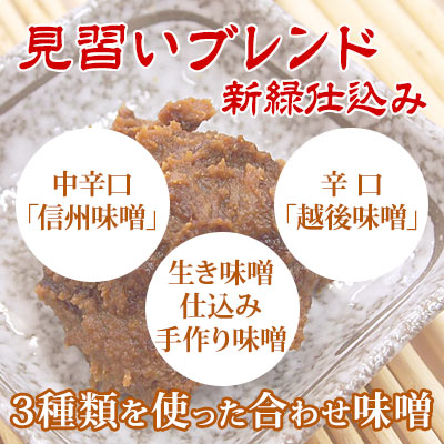 見習いブレンド