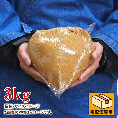 【楽天出店18周年 感謝月間】 麦味噌 3kg むてんか あま味噌 むぎこうじ味噌 あか味噌 つぶ味噌 九州 長崎県産 食品 調味料 みそ 麦みそ