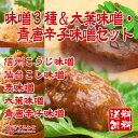 味噌3種＆大葉味噌・青唐辛子味噌セット 【送料無料】 信州こうじ味噌 仙台こし味噌 麦みそ 大葉味噌 青唐辛子味噌 食品 調味料 みそ セット・詰め合わせ 赤味噌 白味噌 セット 2