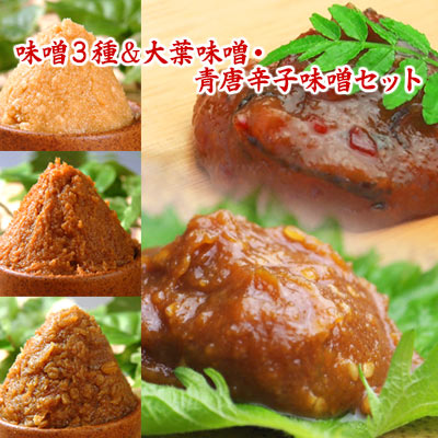 味噌3種＆大葉味噌・青唐辛子味噌セット 【送料無料】 信州こうじ味噌 仙台こし味噌 麦みそ 大葉味噌 青唐辛子味噌 食品 調味料 みそ セット・詰め合わせ 赤味噌 白味噌 セット