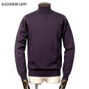 アレッサンドロルッピ Alessandro Luppi / 25-26AW ZEGNA BARUFFAキャッシュウールハイゲージタートルネックニット「1224」...