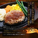 いきなり！ステーキ 冷凍いきなり！ビーフハンバーグ 150g 5個 (750g) オニオンソース付 豪州産牛肉 ビーフ100％｜ステーキ ギフト お中元 お歳暮 内祝い お肉 セット 人気 通販 お取り寄せ 3