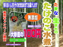 九州熊本県のJAたまな産のたけのこの水煮、自然の環境に恵まれた竹林で育った筍の水煮を是非ご賞味下さい ...