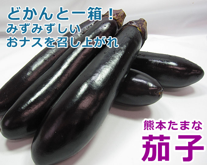 大阪泉州産水茄子　約4kg（15～28個入り）　不揃いですがお買い得品です！【刺身　水茄子　水なす　水ナス　泉州水茄子　泉州　大阪　家庭用　絶品　】