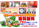 【送料無料】九州 熊本県玉名産野菜セット(同梱ができる）