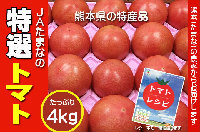 熊本県産 JAたまな 大玉 トマト 4kg 秀品 24玉 お徳用 業務用 産地直送 JA直送