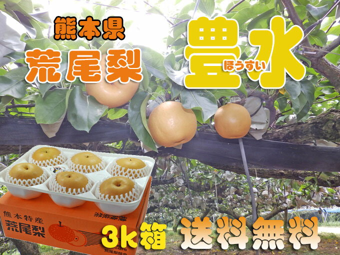 熊本県産 梨 (豊水) 3kg 九州 荒尾梨 贈答用 フルーツギフトのサムネイル