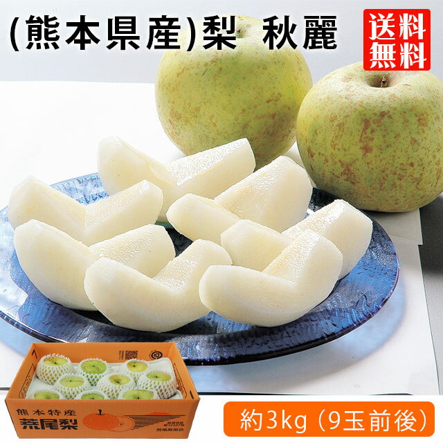 熊本県産 梨 秋麗（しゅうれい）3kg （6～8玉入り） 九州 荒尾梨 贈答用 梨 フルーツギフトのサムネイル