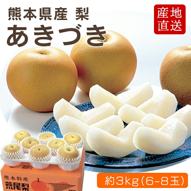 熊本県産 荒尾梨 あきづき 3kg（6～8玉入り） 梨 贈答のサムネイル