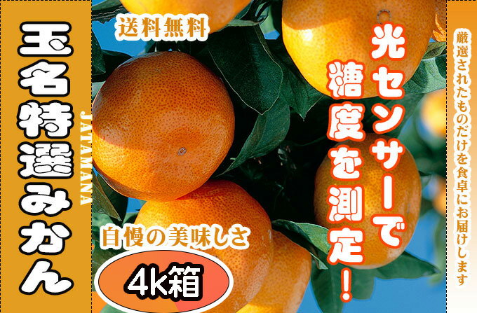 【熊本みかん】熊本県産の甘くて美味しいミカンのおすすめは？