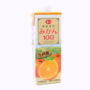 ジューシー みかん 100% 国産 オレンジジュース 1000ml 紙パック 1L 6本 熊本 鹿児島 給食 みかんジュース 果実連 JA 1リットル