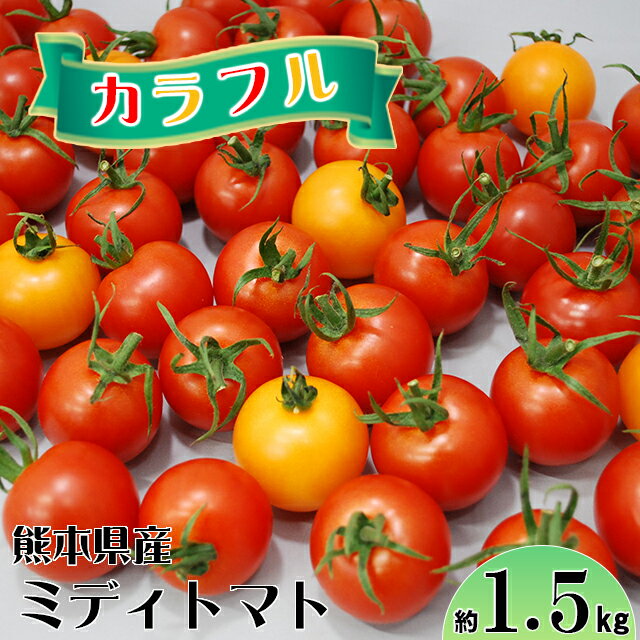 熊本県産 ミディトマト 中玉トマト シンディ スイート 1.5kg 箱入り 50個以上 九州 熊本 玉名 JAたまな 母の日 ギフト 【送料無料】 クール便発送