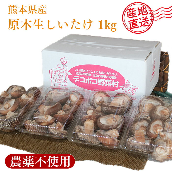 熊本県産 原木生しいたけ 1kg 無農薬 路地栽培 肉厚 生椎茸 玉名 和水 どんぐり栽培 原木椎茸 お徳用 産地直送 JA 直売所 農家直送