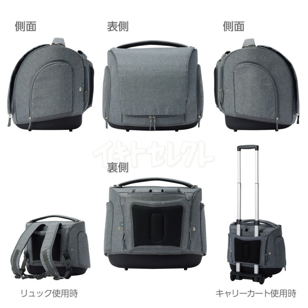 �ں�������������2�ͤ�1�ͺ���100%�ݥ���ȥХå����ץ���ȥ꡼��OPPO �ڥåȥ���ꥢ���ߥ��-BC Pet Carrier muna-BC ���å� �ƥ��� HNM