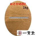 (セール) おとひめB2 1kg(500g×2袋) (0.36〜0.62mm) 日清丸紅飼料 メダカ メダカの餌 金魚 金魚の餌 熱帯魚 熱帯魚の餌 おとひめ