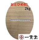 おとひめB1 2kg 新品未開封(沈下性)(0.2〜0.36mm) 日清丸紅飼料 メダカ メダカの餌 金魚 金魚の餌 熱帯魚 熱帯魚の餌