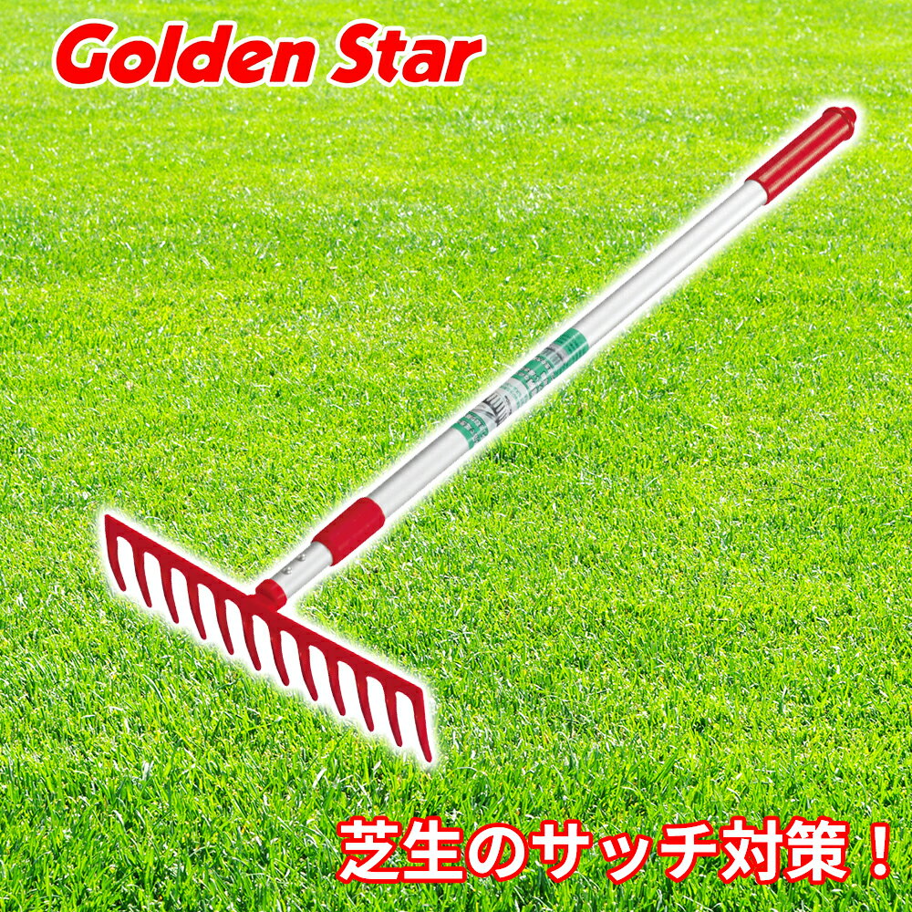 μ å ̼  å   ǥ˥  ܥ ǥ󥹥 Golden Star   ǥ˥  åк 졼 ߥѥ #4036