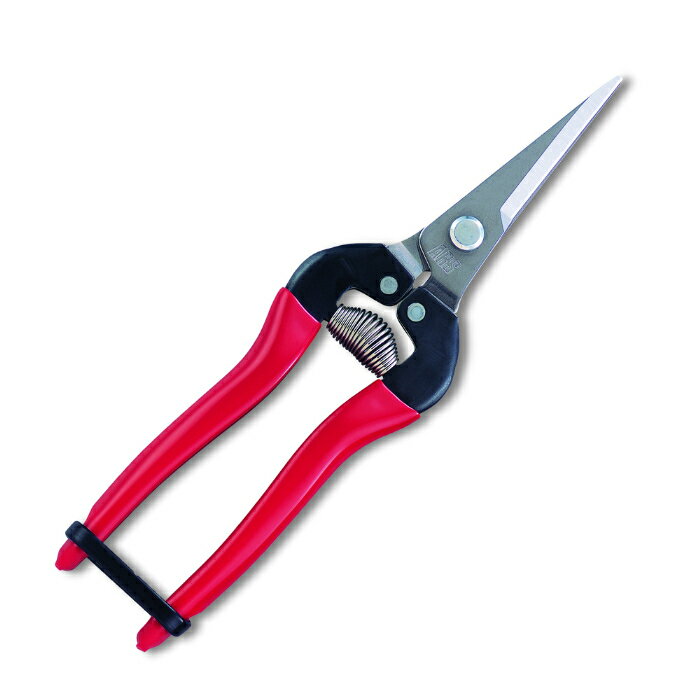Υȥ꡼P10ܡϥ륹 300L-DX-BP Ŧ ƥ쥹     ǥ˥ DIY   ̼ ڤ