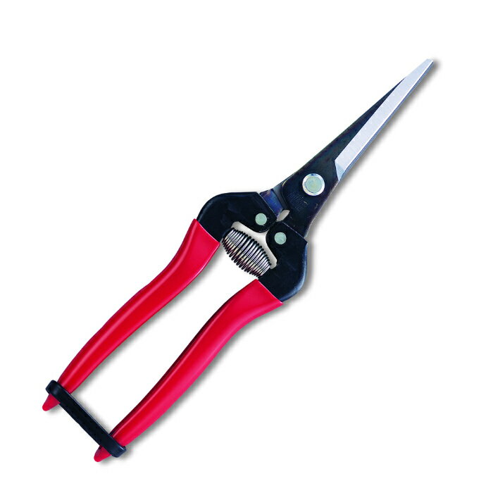 Υȥ꡼P10ܡϥ륹 300LL-BP Ŧ̥ȥ     ǥ˥ DIY   ̼ ڤ