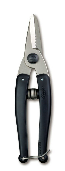 Υȥ꡼P10ܡϥ륹 KG-QT-14  ¿ӥѥ     ǥ˥ DIY   ̼ ڤ