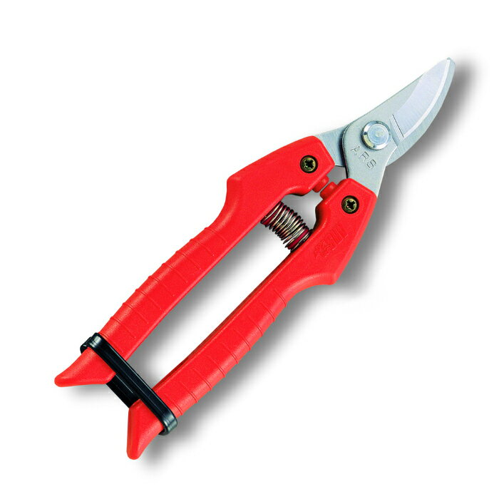 Υȥ꡼P10ܡϥ륹 SE-30 ؿϼǥ˥ ꥿     ǥ˥ DIY   ̼ ...