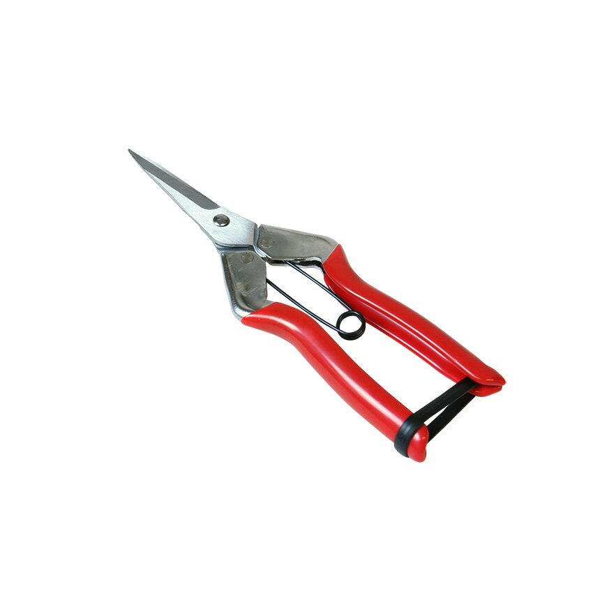 【エントリーでP10倍◆9/1〆】FG 菜園鋏 #192600