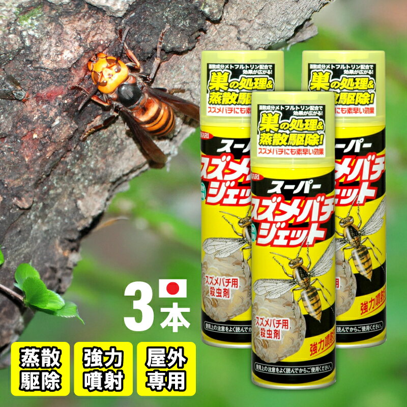Υȥ꡼P10ܡϡ 3ܥå / 󥰥顼  ޤȤ㤤  ѡХå 480ml     ...