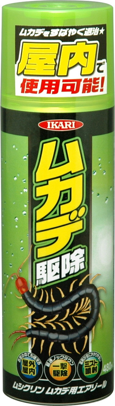 Υȥ꡼P10ܡϥ ॷ५ѥ 480ml    ५