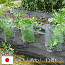 かんたん苗カバー 10個セット No.228 保護 保温 霜よけ ガーデニング用品 園芸用品 庭園 植物 収穫 農業 緑 花 ガーデンファニチャー 小林金物 カ...