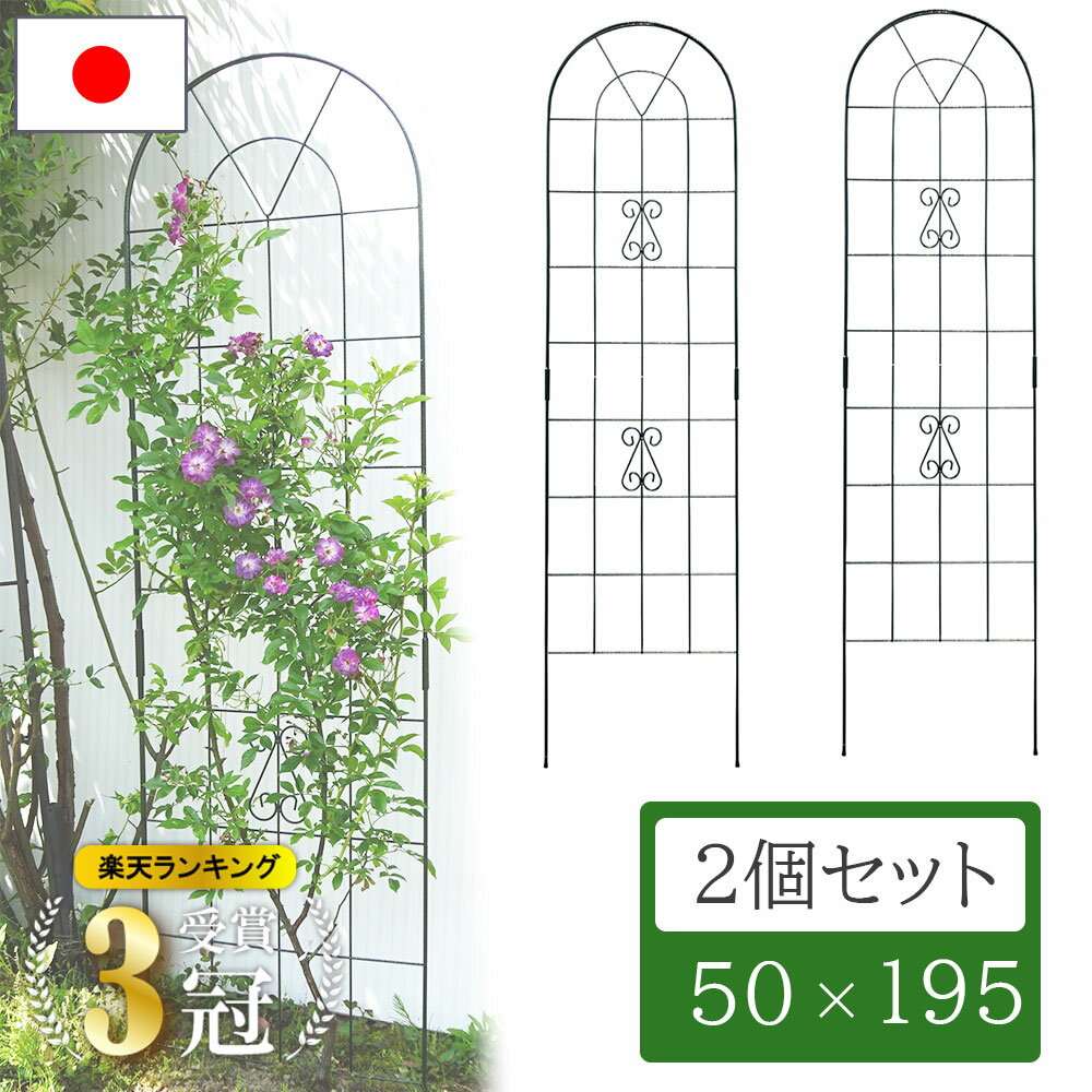 【楽天ランキング1位！】 ガーデニング フェンス トレリス アイアン 日本製 高さ195cm モスグリーン ローズオベリスク オベリスク つるバラ つる 花 薔薇 バラ ばら クレマチス 菜園 組み立て 支柱 園芸 家庭菜園 園芸資材 資材 園芸用品 No.183 小林金物 その1