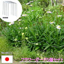 楽天ランキング獲得! 花支柱 植物支柱 5本セット 花支え 園芸支柱 日本製 ワンタッチ 倒れ防止 折れ防止 強風対策 台風対策 園芸 ガーデニング プランター...