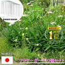楽天ランキング1位獲得 花支柱 植物支柱 10本セット 12×26 花支え 園芸支柱 日本製 ワンタッチ 倒れ防止 折れ防止 強風対策 台風対策 園芸 ガーデニ...